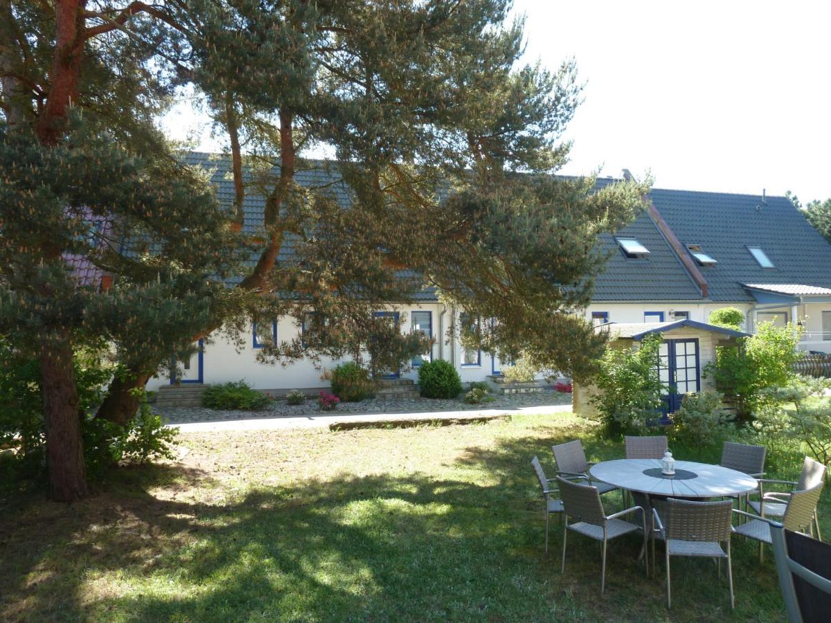 Romantisches Ferienhaus Boddenblick Mit Sauna Pruchten Luaran gambar